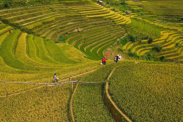 Mu Cang Chai Trekking and Motorbike Full Day