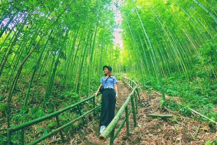 Mu Cang Chai Scenic Car Tour with Local Guide & Beeswax Painting