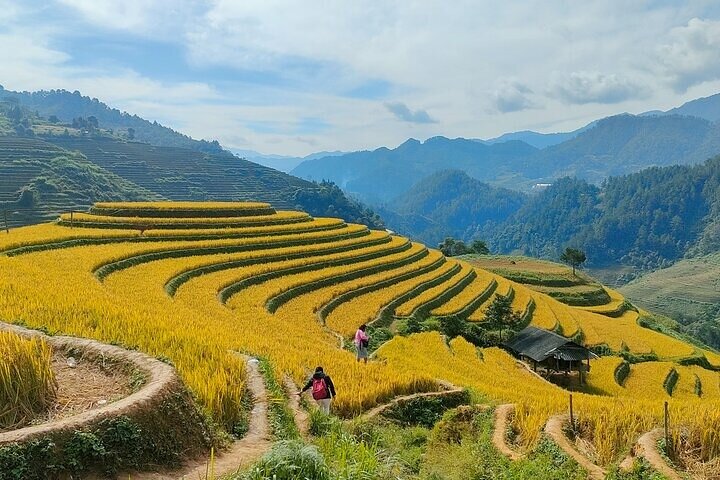 Mu Cang Chai Scenic Car Tour with Local Guide & Beeswax Painting