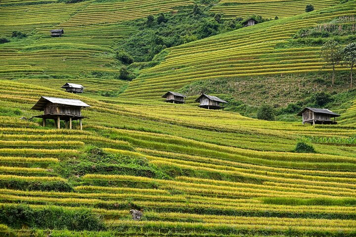 Mu Cang Chai Scenic Car Tour with Local Guide & Beeswax Painting