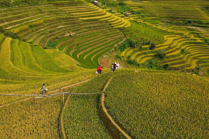 Mu Cang Chai Scenic Car Tour with Local Guide & Beeswax Painting