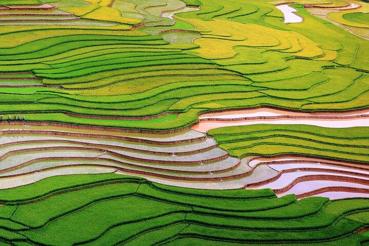 Mu Cang Chai Scenic Car Tour with Local Guide & Beeswax Painting
