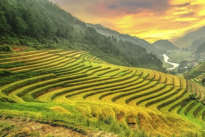 Mu Cang Chai Scenic Car Tour with Local Guide & Beeswax Painting