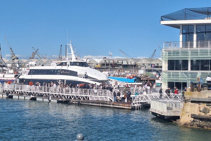 Robben Island Half-Day Tour with Ticket, Hotel Pickup & Drop-Off