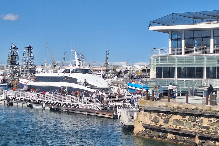 Robben Island Half-Day Tour with Ticket, Hotel Pickup & Drop-Off