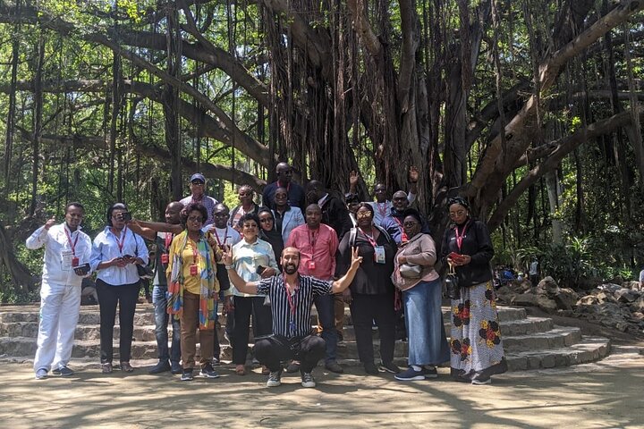 Private City Tour in Algiers with Guide