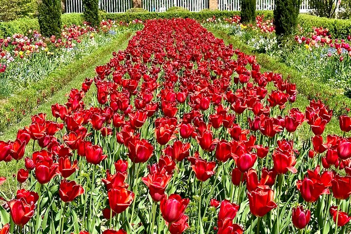 Colonial Williamsburg - Private Tour Celebrating American History