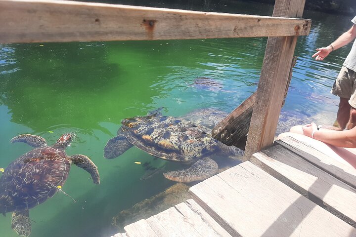 Spice + Village Tour + Aquarium + Kendwa Beach