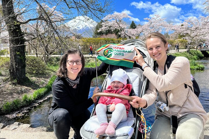 Mt Fuji and Hakone 1-Day Bus Tour Return by Bullet Train