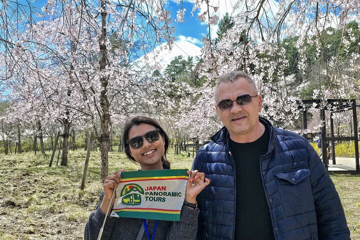 Mt Fuji and Hakone 1-Day Bus Tour Return by Bullet Train