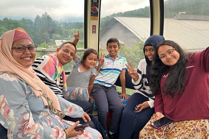 Mt Fuji and Hakone 1-Day Bus Tour Return by Bus