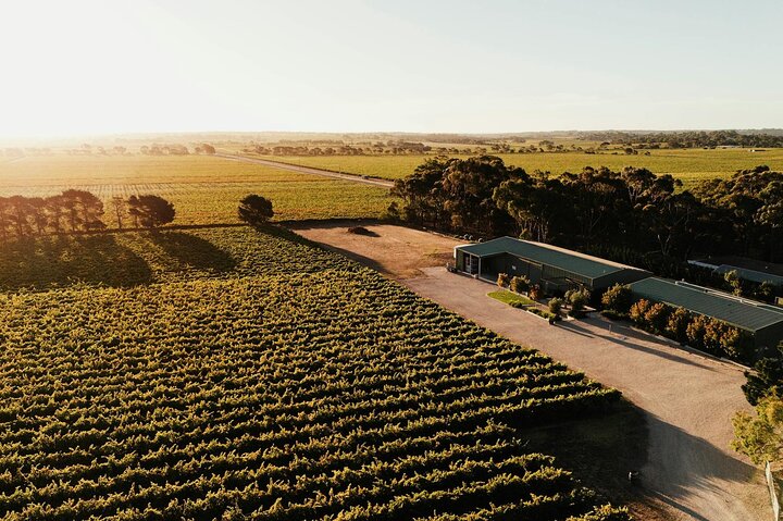 McLaren Vale South Hop-On Hop-Off Winery Tour