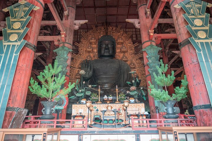 Discover Ancient Nara: Private Car Tour from Kyoto or Osaka