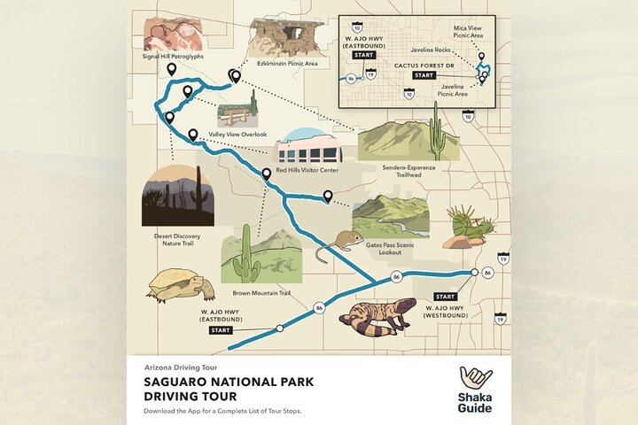 Saguaro National Park Self-Guided Audio Tour