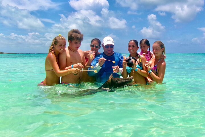 Nassau Swimming Pigs and Private Beach Club Escape