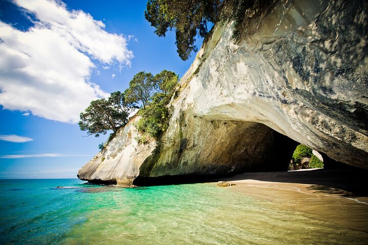 Cathedral Cove & Hot Water Beach Small-Group Tour with Lunch