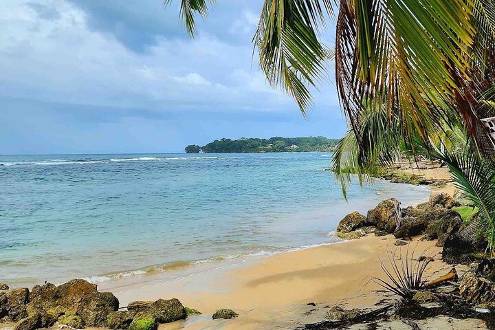 Isla Colon Tour to Bird Island, Boca del Drago and Starfish Beach