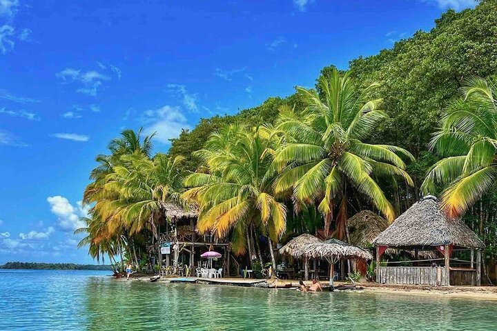 Isla Colon Tour to Bird Island, Boca del Drago and Starfish Beach