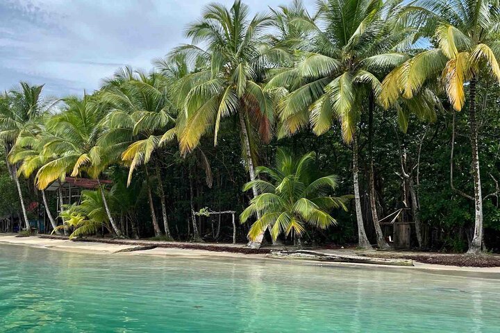 Isla Colon Tour to Bird Island, Boca del Drago and Starfish Beach
