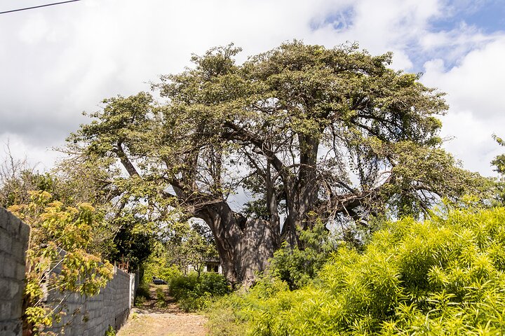 Northern Grand Comore Guided Tour