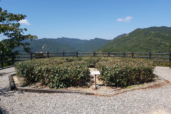 Thousand Island Lake and Pinglin Tea Plantation from Taipei