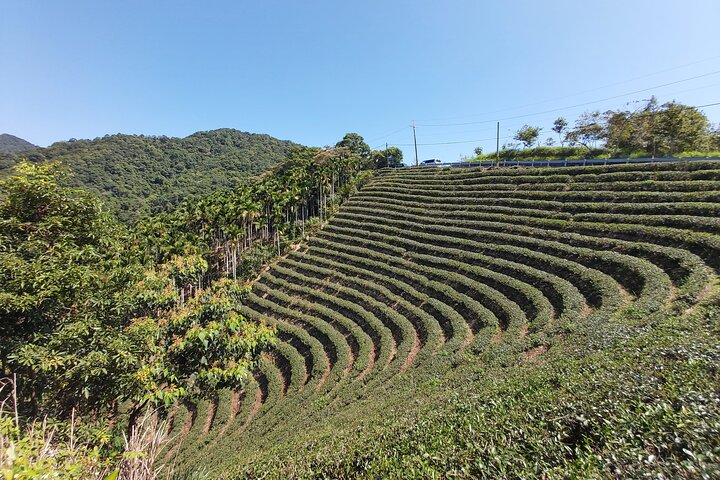 Thousand Island Lake and Pinglin Tea Plantation from Taipei