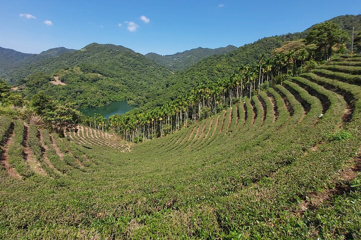 Thousand Island Lake and Pinglin Tea Plantation from Taipei