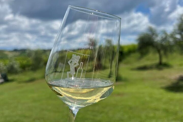 Discover Italian Wines at Tenuta La Viola