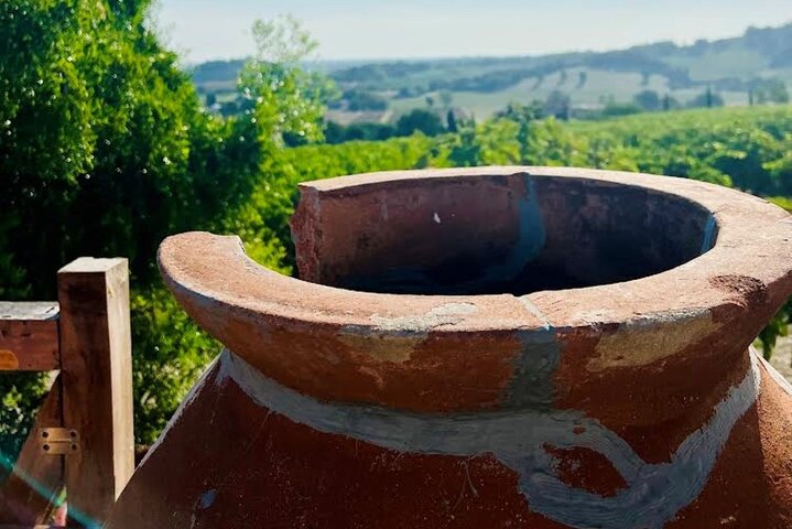Discover Italian Wines at Tenuta La Viola with 6 Wine Tastings