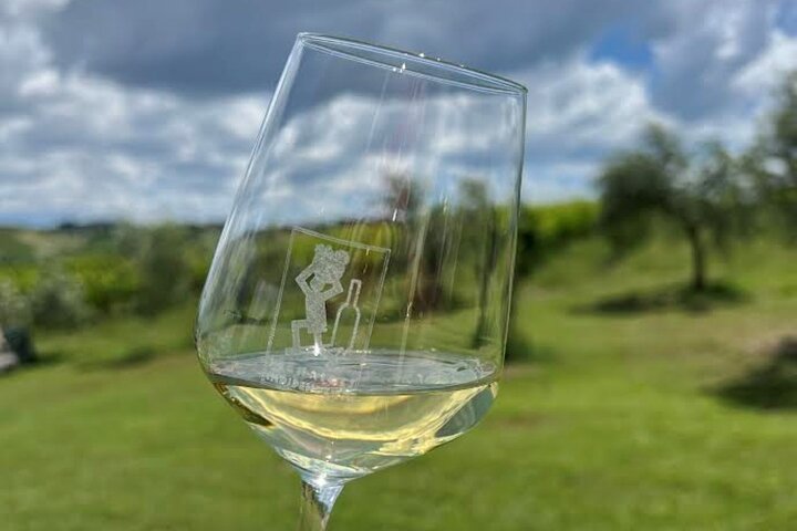 Discover Italian Wines at Tenuta La Viola with 6 Wine Tastings
