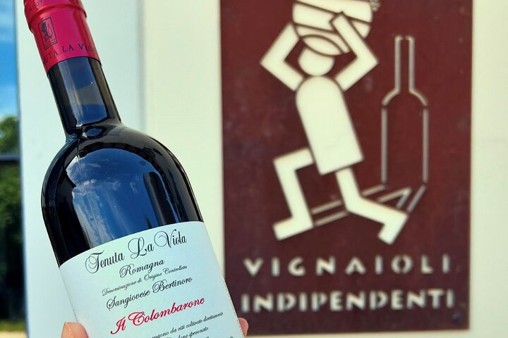 Discover Italian Wines at Tenuta La Viola with 6 Wine Tastings