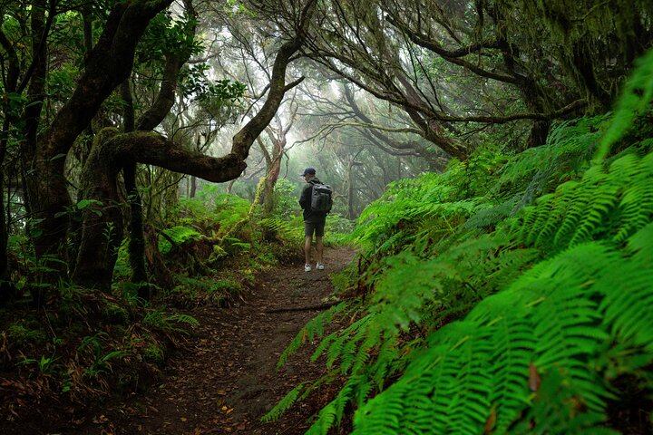 Tenerife Wonder Walk