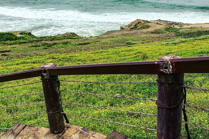 Discover West Salalah – Full-Day Guided Tour (6–8 Hours)