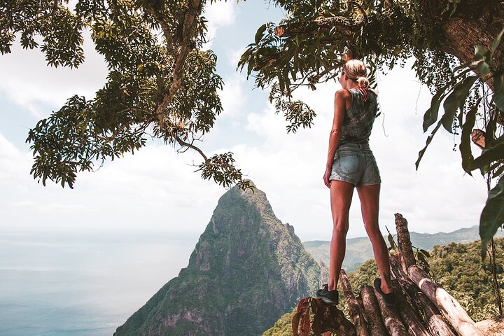 St Lucia Private Tour: Customize Your Island Experience+ Lunch