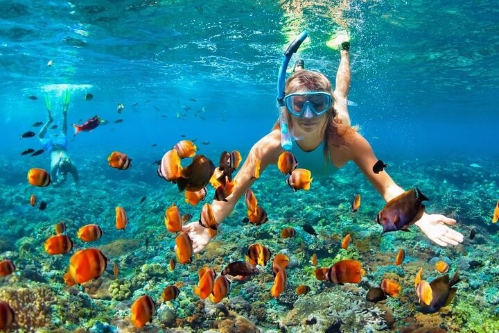 St Lucia Private Tour: Customize Your Island Experience+ Lunch