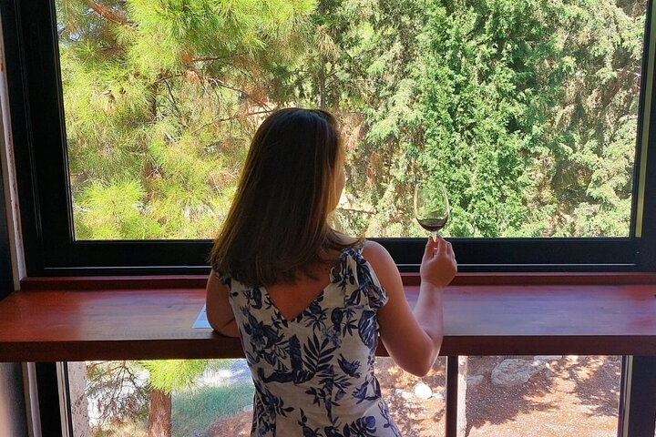 Mountain Villages of Kyrenia and Wine Tasting