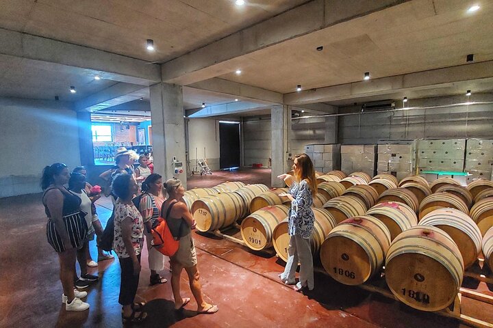 Mountain Villages of Kyrenia and Wine Tasting