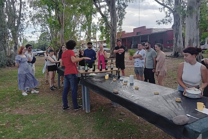 Excursión de 3 bodegas y 1 olivícola con degustación