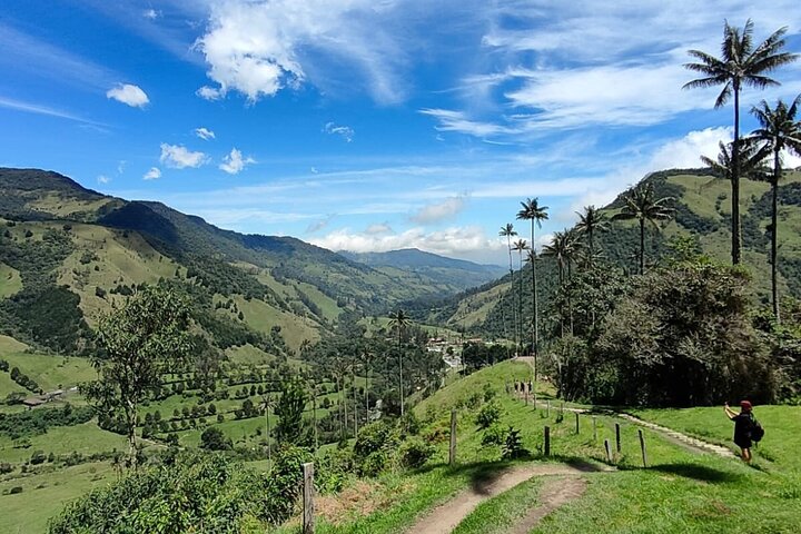 Cocora Valley Shared Tour