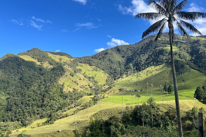 Cocora Valley Shared Tour