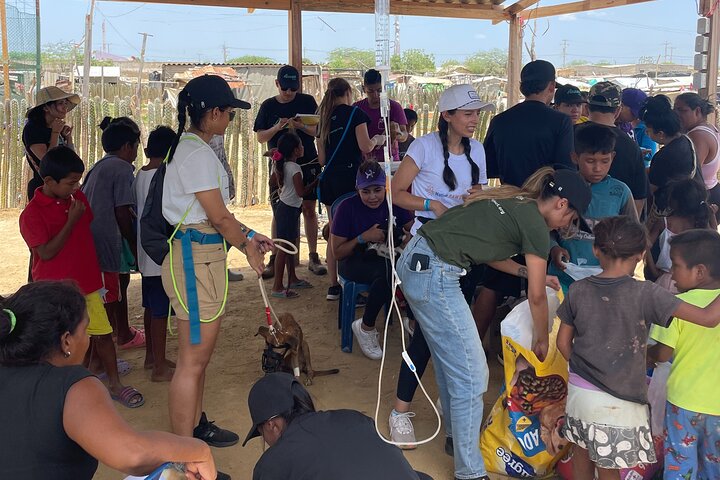 Volunteering with Animals and Communities in Guajira