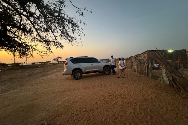 Volunteering with Animals and Communities in Guajira