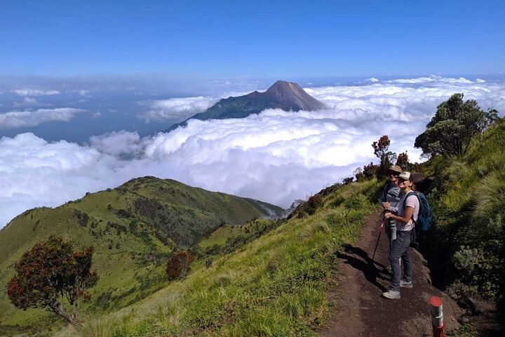 Mount Merbabu One Day Hiking Tour From Yogyakarta