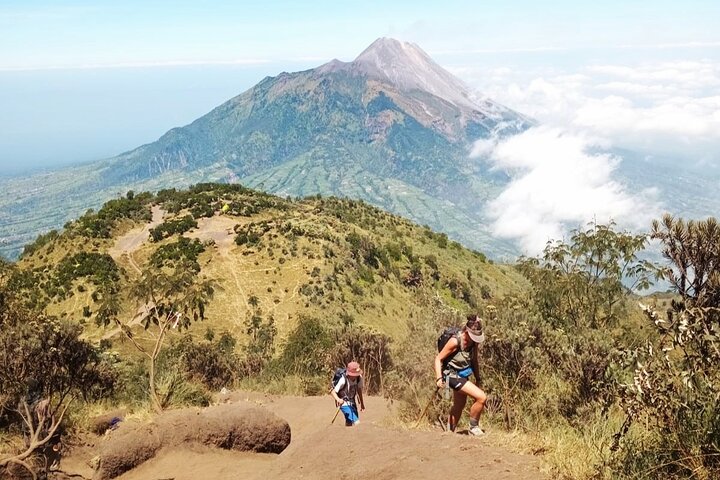 Mount Merbabu One Day Hiking Tour From Yogyakarta