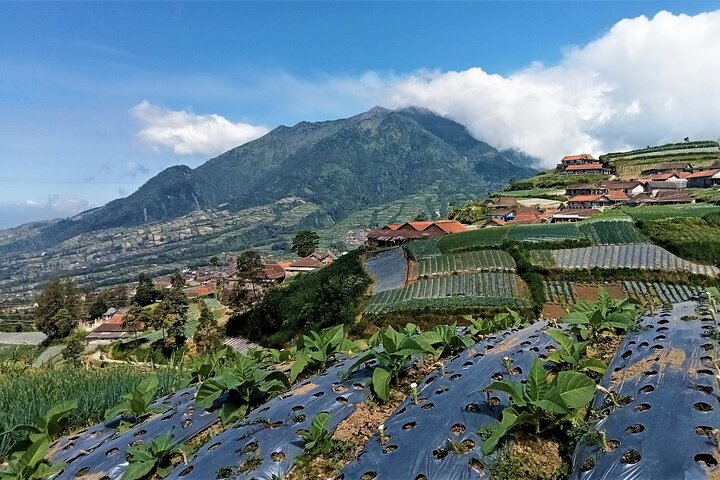 Mount Merbabu One Day Hiking Tour From Yogyakarta