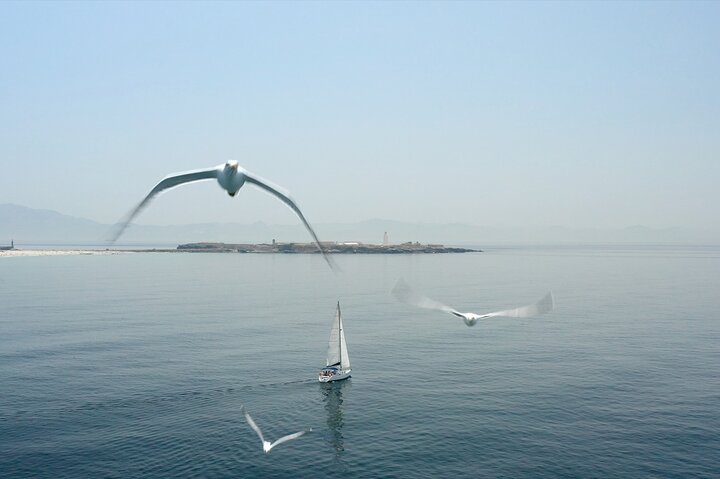 Tarifa Sailing and Snorkeling Excursion with tapas and drinks