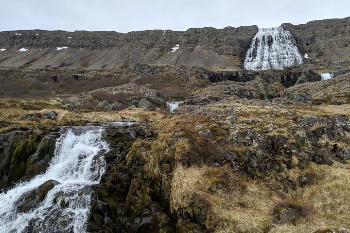 Small Group Tour Ísafjordur Dynjandi Waterfall & Secret Stop