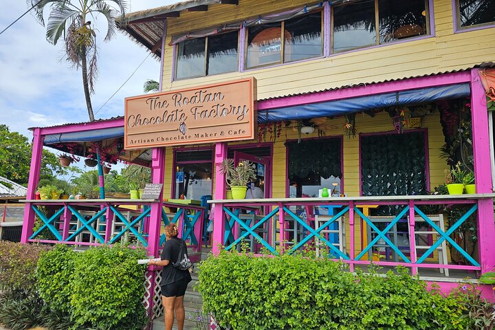 Roatan Jungle Top Zip Line, Wildlife Eco-Park and Snorkel