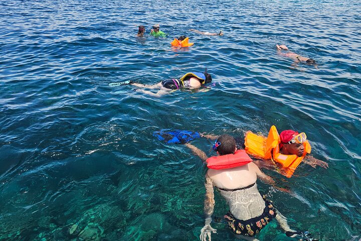 Roatan Jungle Top Zip Line, Wildlife Eco-Park and Snorkel