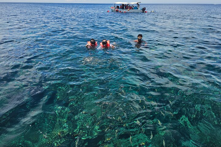 Roatan Jungle Top Zip Line, Wildlife Eco-Park and Snorkel